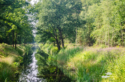 friesische Naturlandschaft